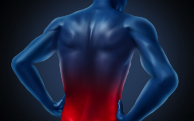Work It Out: 5 Facts about Low Back Pain