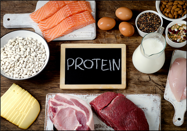 Protein